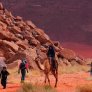 1-day-with-camel-and-overnight-in-wadi-rum-1.1